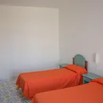 Antigua 아파트호텔 보니파티